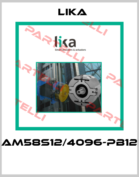 AM58S12/4096-PB12  Lika