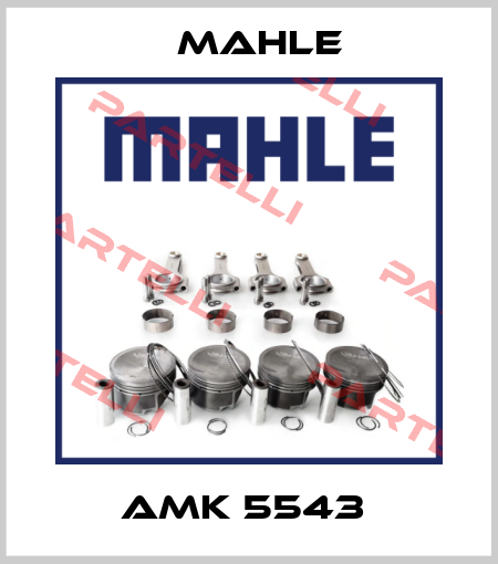 AMK 5543  Mahle