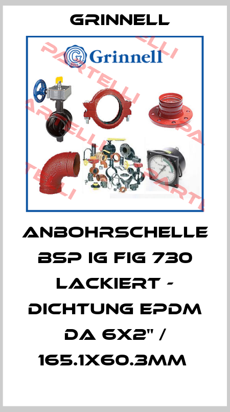 ANBOHRSCHELLE BSP IG FIG 730 LACKIERT - DICHTUNG EPDM DA 6X2" / 165.1X60.3MM  Grinnell