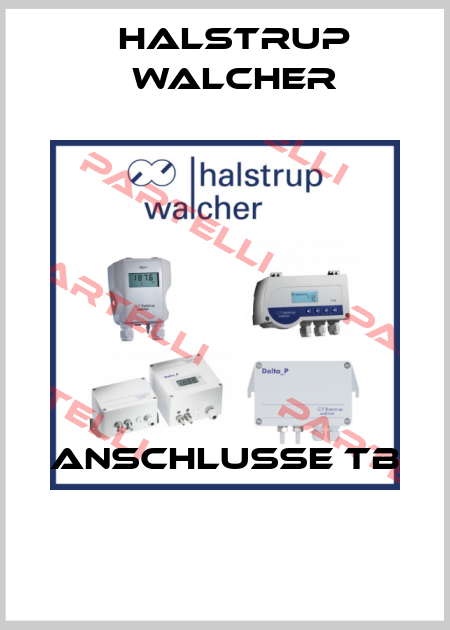 ANSCHLUSSE TB  Halstrup Walcher