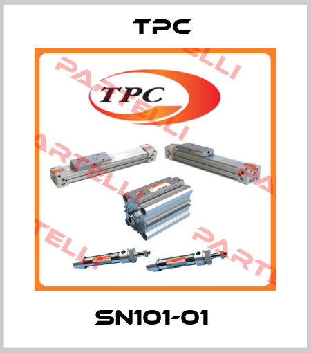 SN101-01  TPC