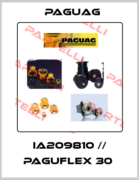 IA209810 // PAGUFLEX 30  Paguag