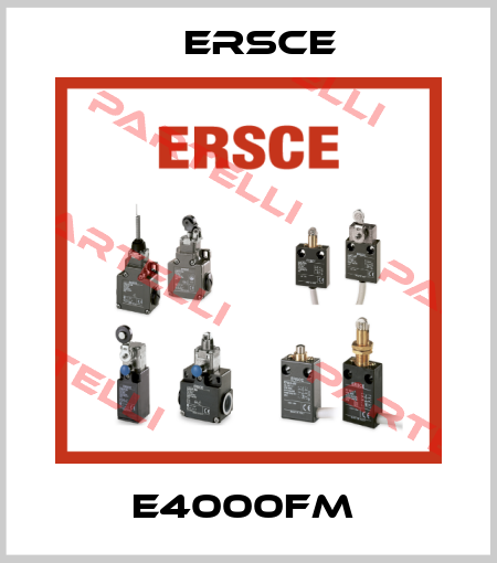E4000FM  Ersce