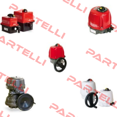 ER100.93A.SS2 Valpes