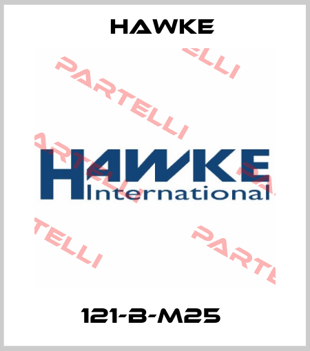 121-B-M25  Hawke