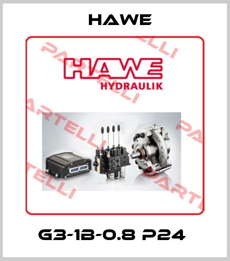 G3-1B-0.8 P24  Hawe