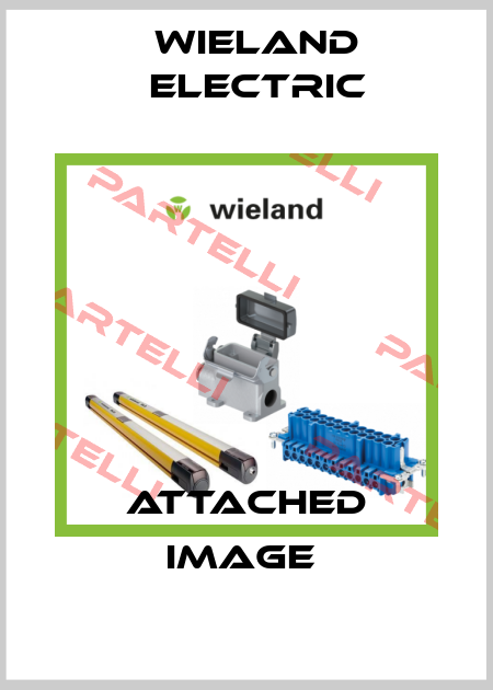 ATTACHED IMAGE  Wieland Electric