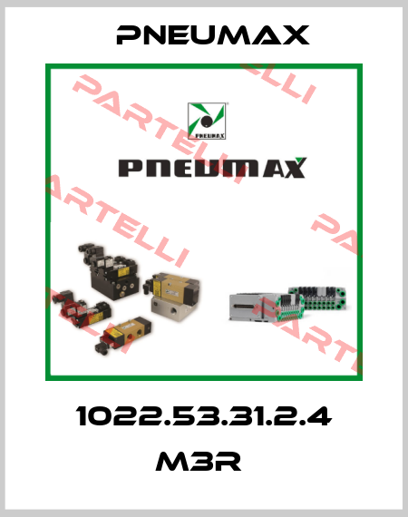 1022.53.31.2.4 M3R  Pneumax