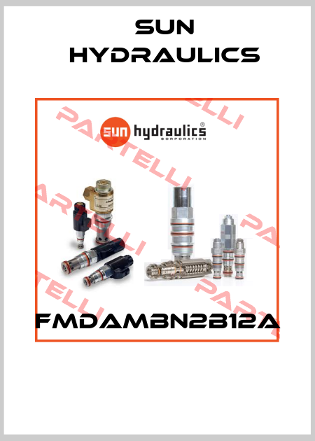FMDAMBN2B12A  Sun Hydraulics