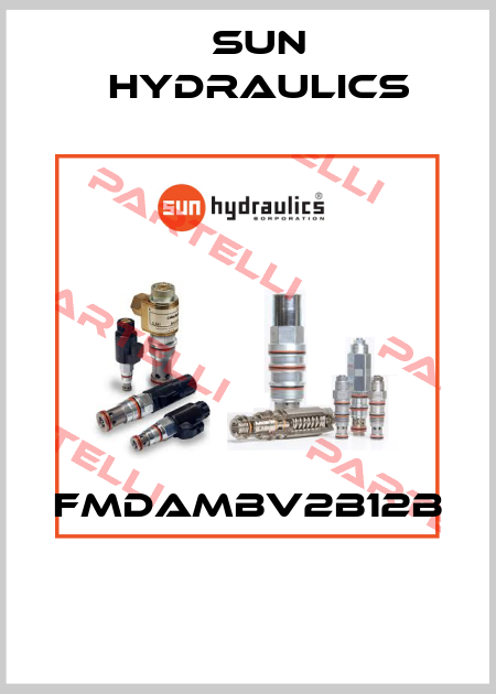 FMDAMBV2B12B  Sun Hydraulics