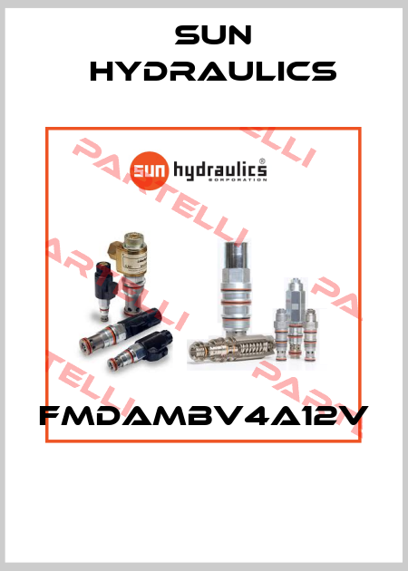 FMDAMBV4A12V  Sun Hydraulics