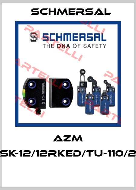 AZM 161SK-12/12RKED/TU-110/230  Schmersal