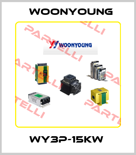 WY3P-15KW  WOONYOUNG