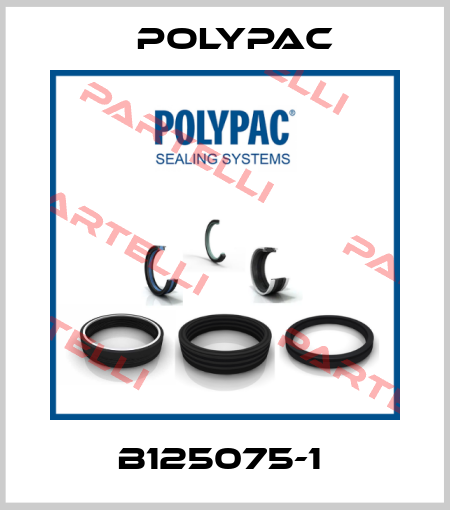B125075-1  Polypac