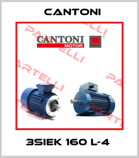 3SIEK 160 L-4  Cantoni Motor