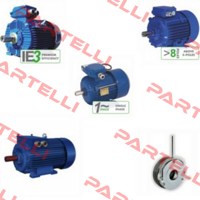 3SIEK 160 L-4  Cantoni Motor