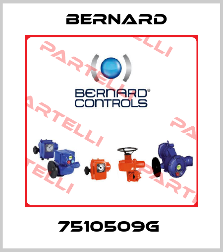 7510509G  Bernard