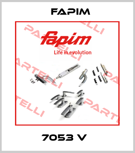7053 V   Fapim