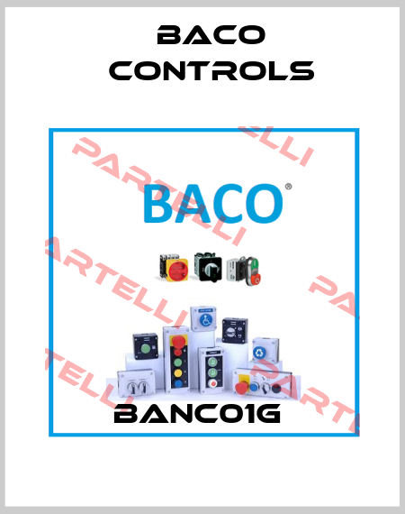 BANC01G  Baco Controls