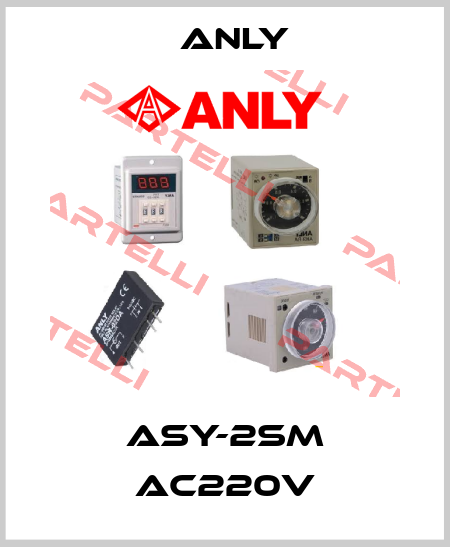 ASY-2SM AC220V Anly