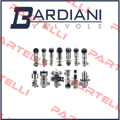 BBZP LL VITON SMS63  Bardiani Valvole