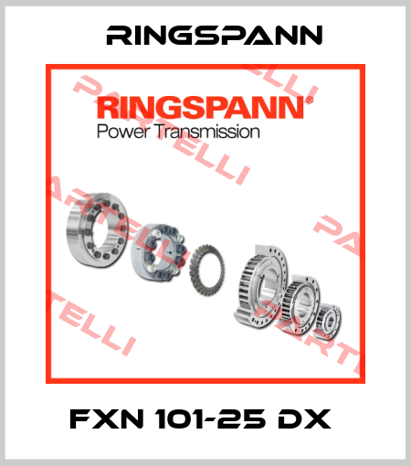 FXN 101-25 DX  Ringspann