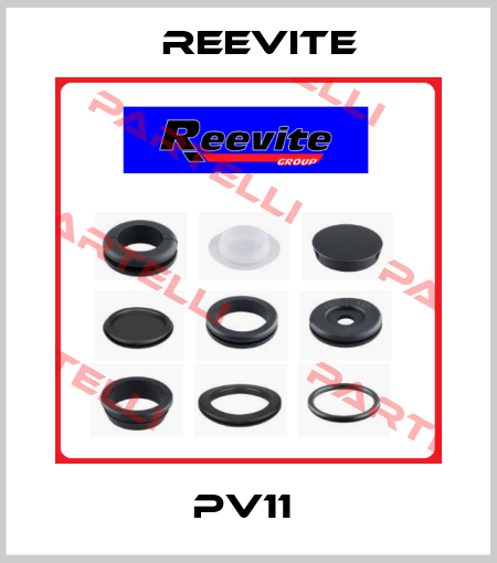 PV11  Reevite