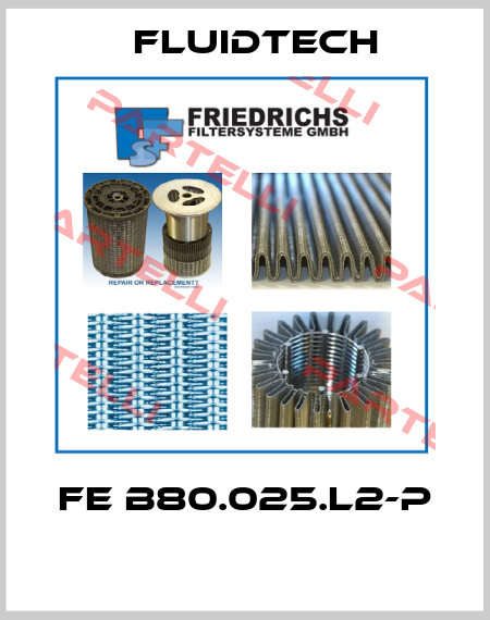 FE B80.025.L2-P   Friedrichs