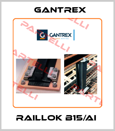 RailLok B15/AI  Gantrex