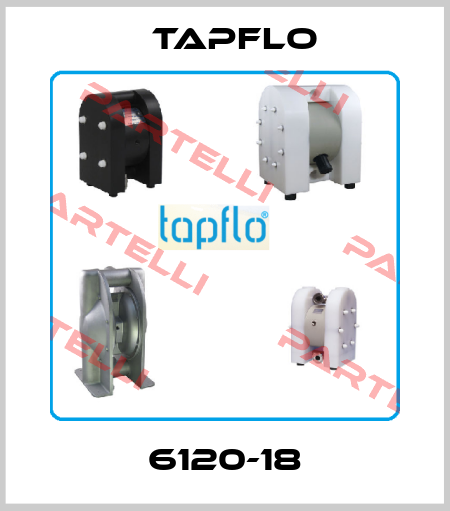 6120-18 Tapflo