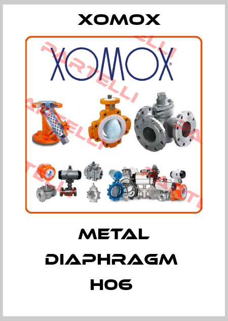 METAL DIAPHRAGM  H06  Xomox