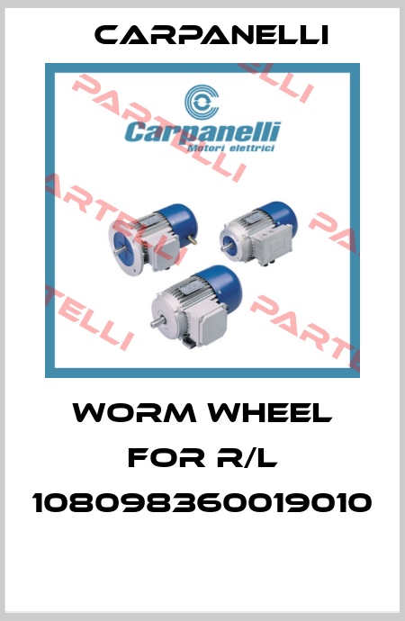 Worm wheel for R/L 108098360019010  Carpanelli