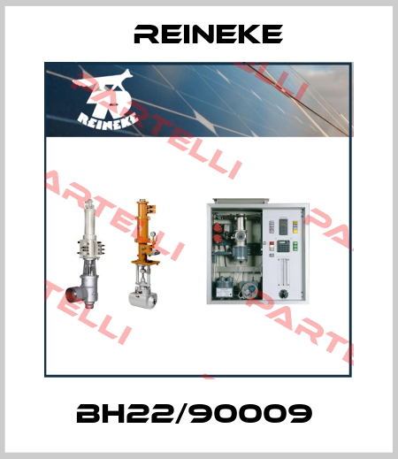 BH22/90009  Reineke