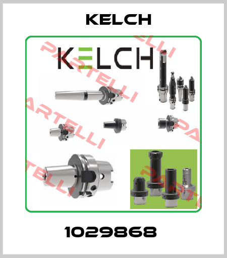 1029868  Kelch