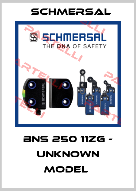 BNS 250 11ZG - UNKNOWN MODEL  Schmersal