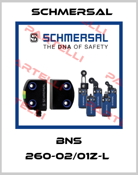 BNS 260-02/01Z-L  Schmersal