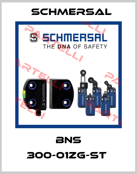 BNS 300-01ZG-ST  Schmersal