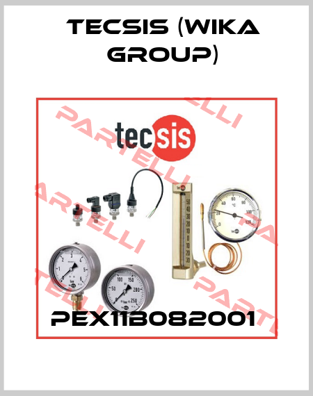 PEX11B082001  Tecsis (WIKA Group)