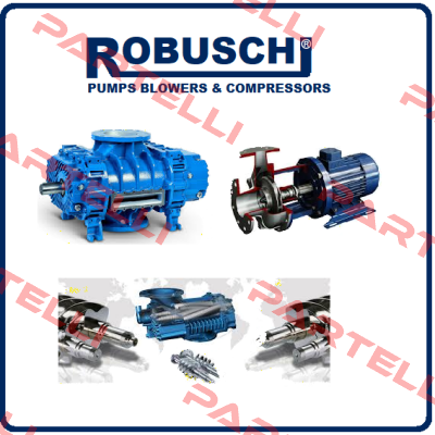 10342 Robuschi