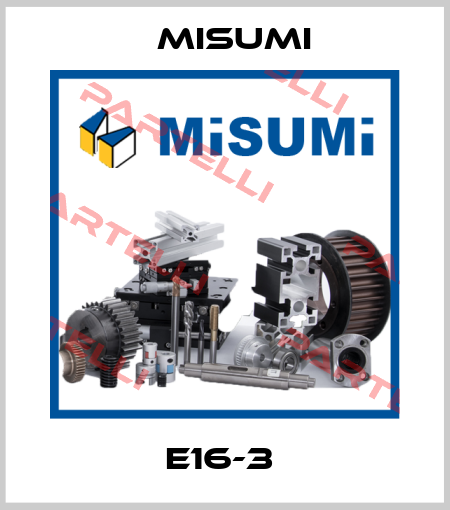 E16-3  Misumi