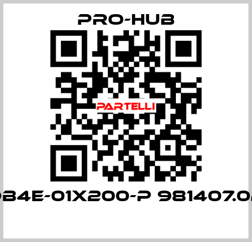 DB4E-01X200-P 981407.02  Pro-Hub