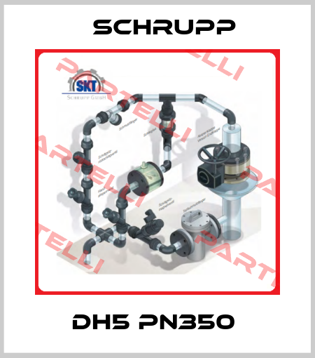 DH5 PN350  Schrupp