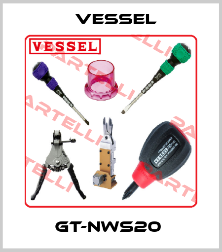 GT-NWS20  VESSEL