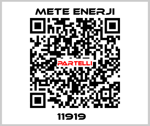 11919   METE ENERJI