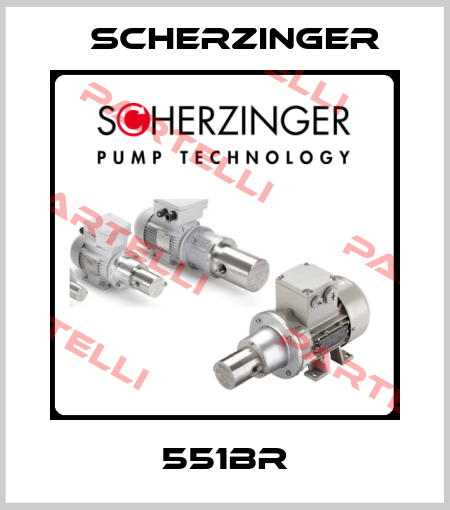 551BR Scherzinger
