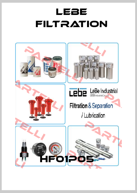 HF01P05  Lebe Filtration