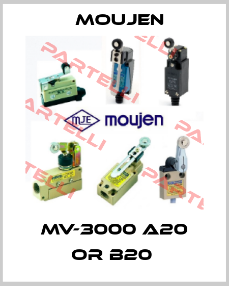 MV-3000 A20 or B20  Moujen
