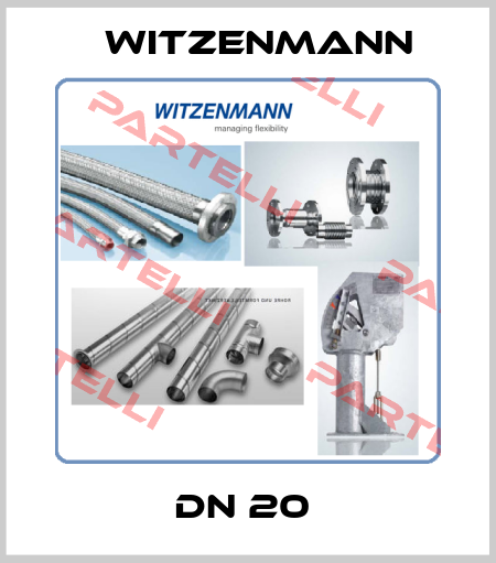 DN 20  Witzenmann