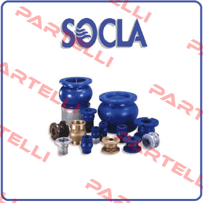 DN100 valve  Socla