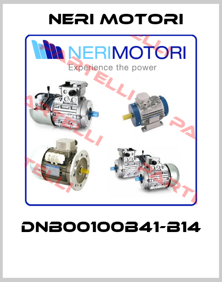 DNB00100B41-B14  Neri Motori